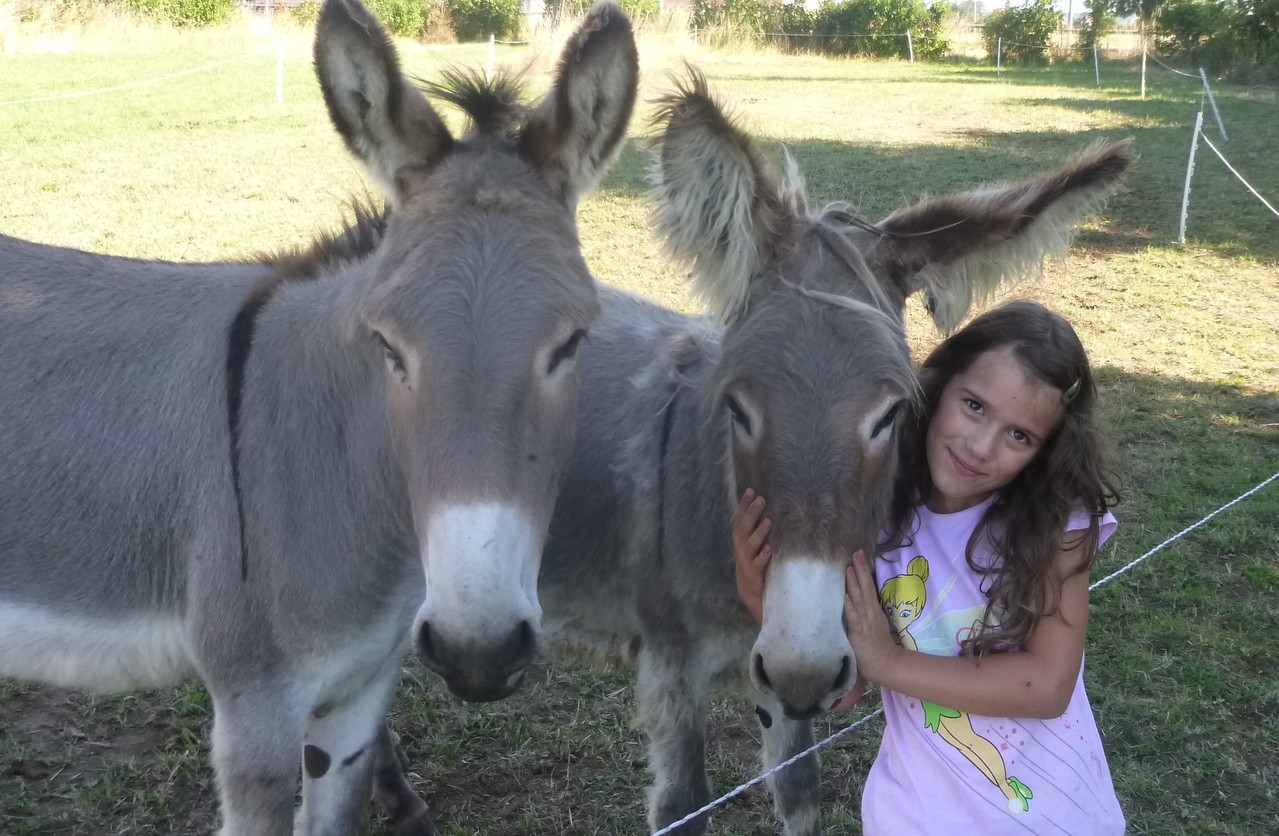 rencontres