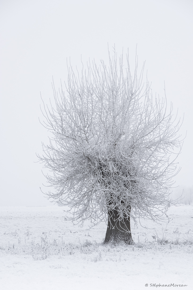 stephane moreau photographe fujifilm chalonnes loire