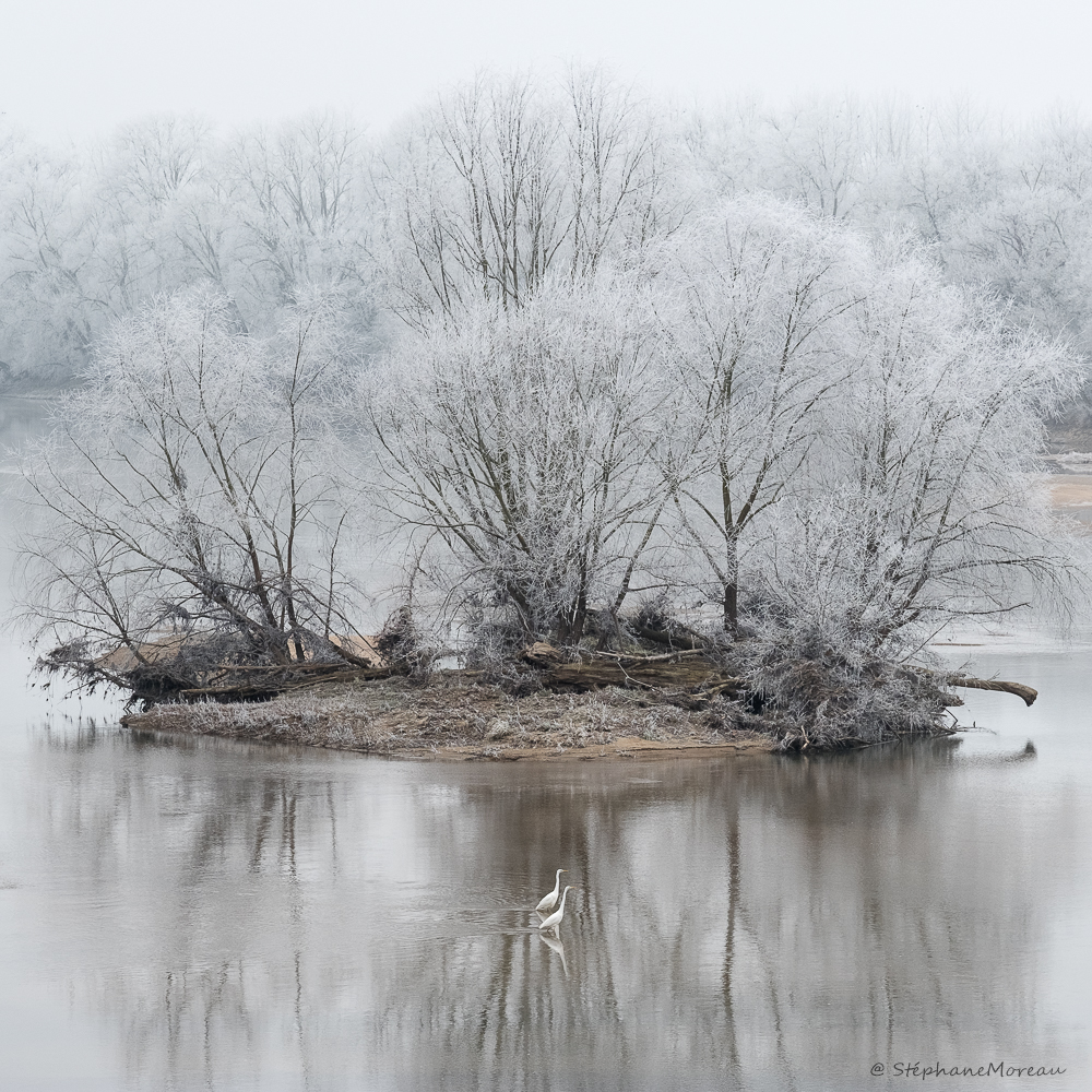 stephane moreau photographe fujifilm chalonnes loire