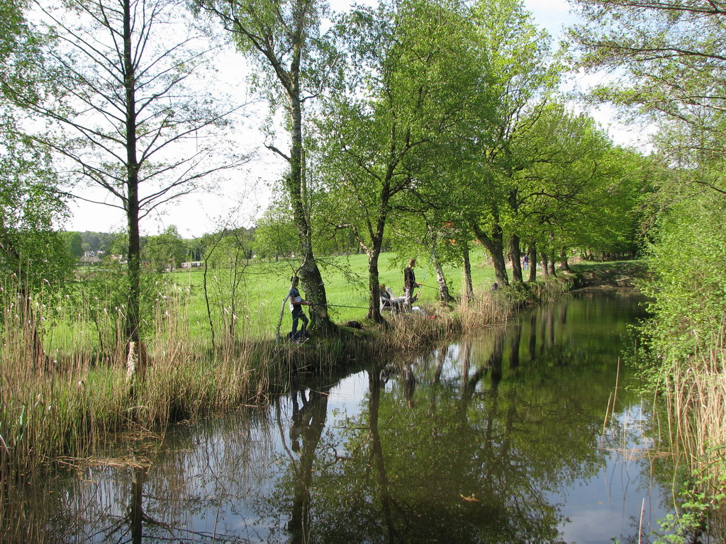 Ruhe am Teich!!! Nach anfänglicher Aufregung steigt die Spannung:  Wer fängt den ersten Fisch?