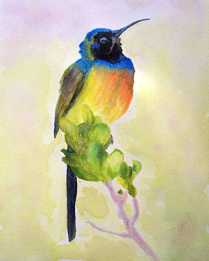 Vogel Colibri aquarel Art met twinkling effect