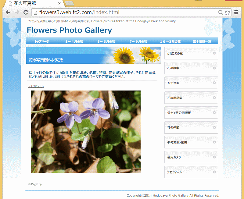 Flower-Photo-Gallery