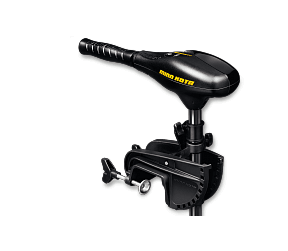 Minn Kota ENDURA 45 C2 Electric Outboard