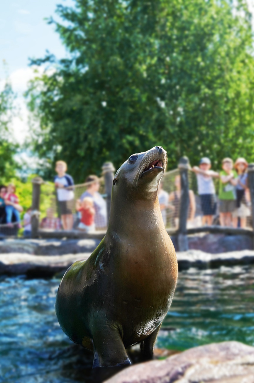 Copyright: ZOOM Erlebniswelt