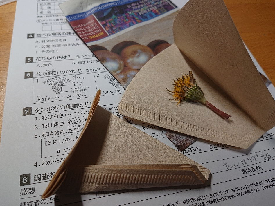 コーヒーフィルターは便利 Tampopo Gifuken ページ