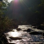 美しい川
