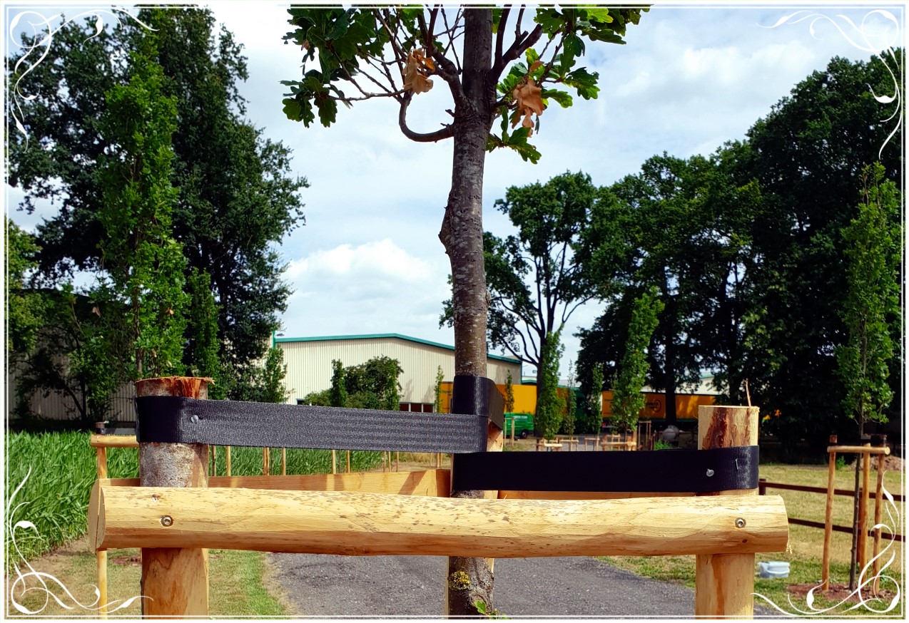 Baum- und Gehölzschutz