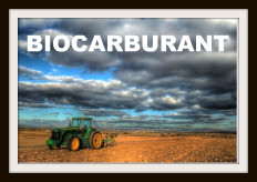 biocarburant