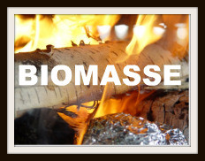 biomasse