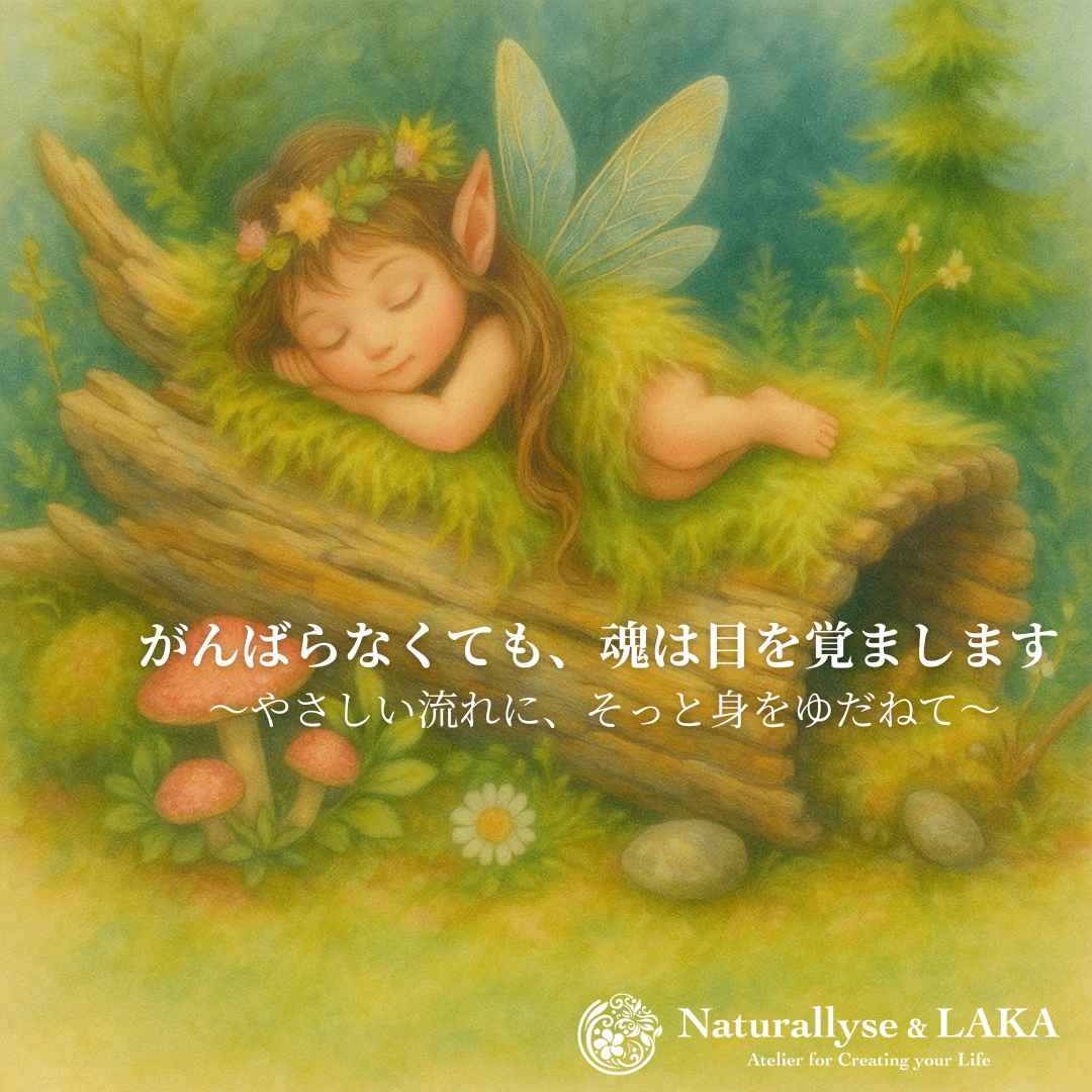 調和の道を歩く