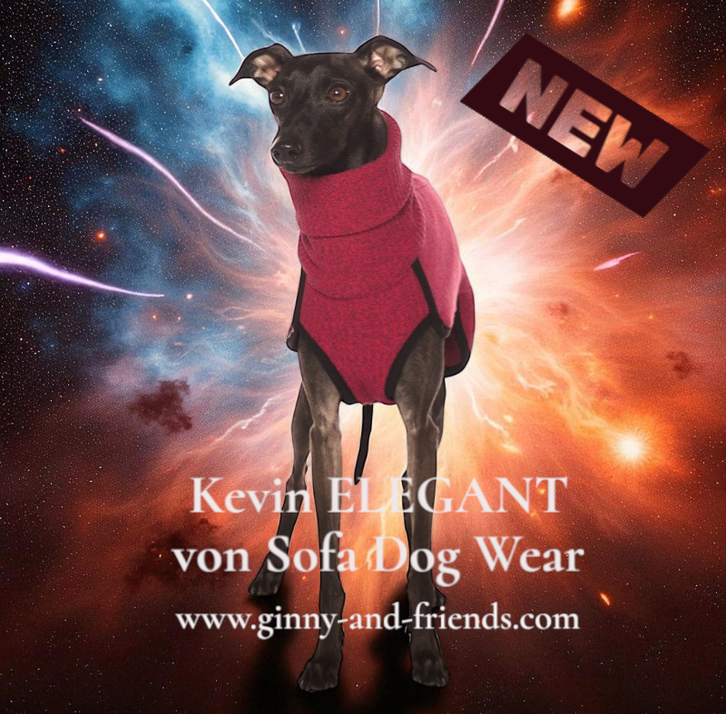 Pulli "Kevin Elegant" von Sofa Dog Wear