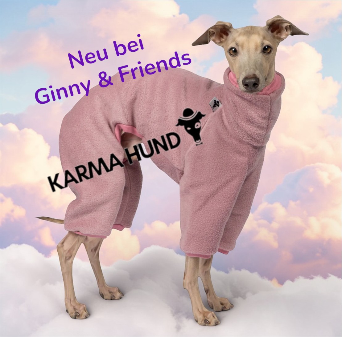 Neu: Die Iggy Kollektion von Karma Hund