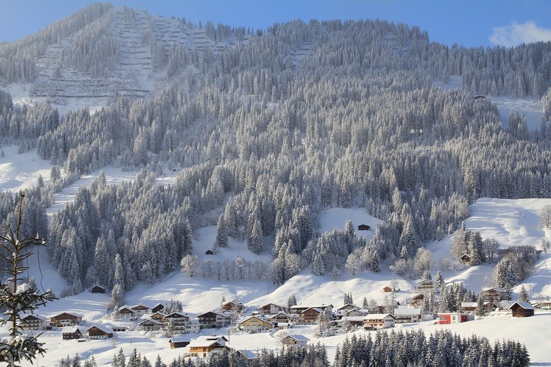 Blick von FEWO 1 u. 2 zum Heuberg