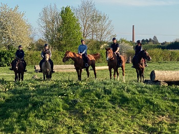 Cours de perfectionnement à cheval