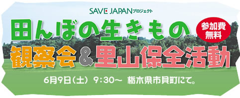 田んぼの生きもの観察会＆里山保全活動