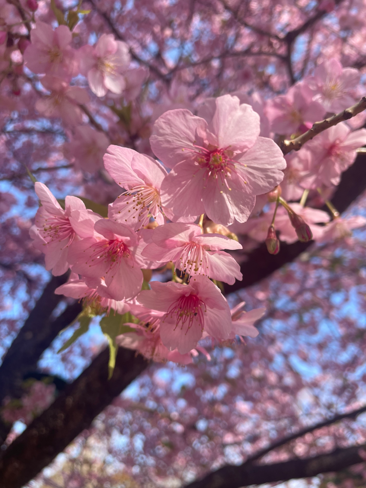 サロン案内 武蔵浦和ホームネイルサロン Mina Nail さいたま市南区 武蔵浦和