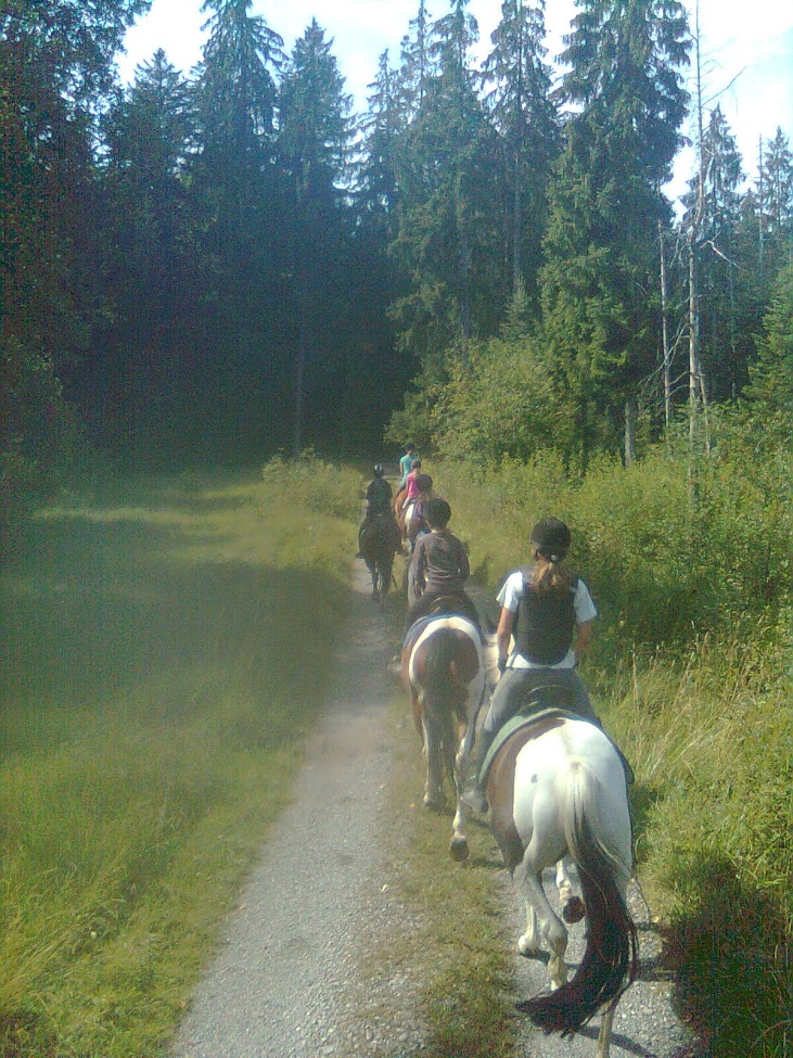 Copyright Zuchtstall-emmenegger.ch (c) Zuchtstall-emmenegger.ch