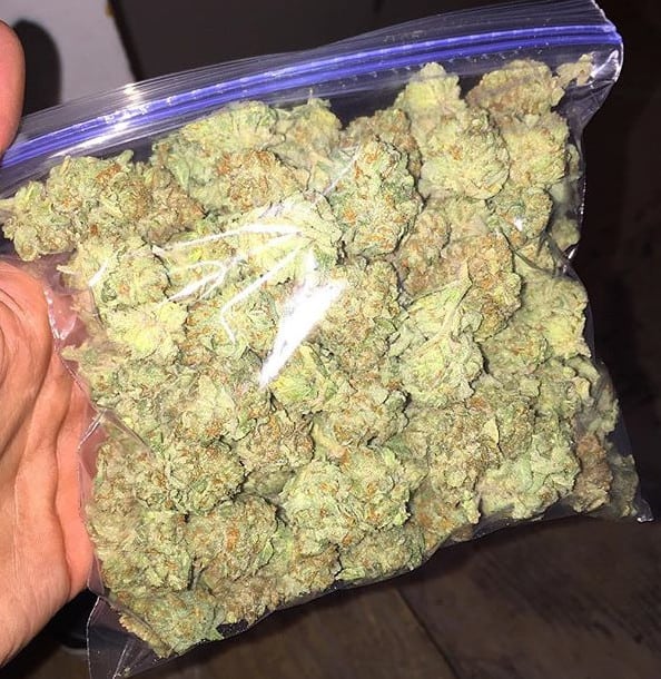 Wie man Cannabis richtig Marihuana Blüten trocknen Irierebel Der Löwe unter den