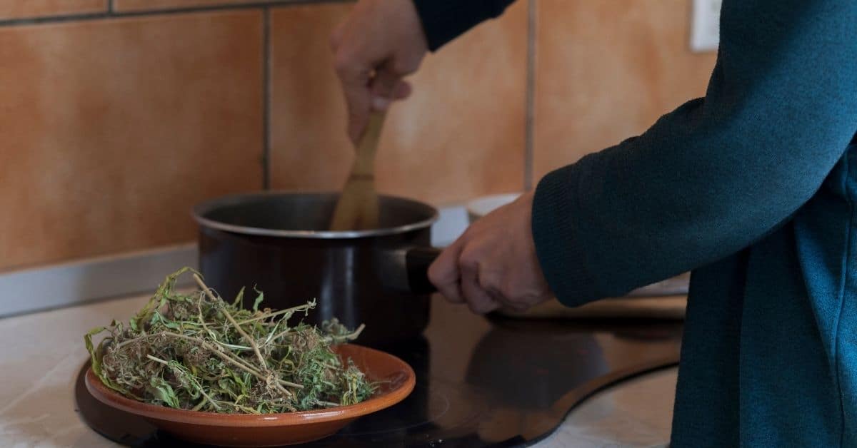 Cannabis Butter herstellen Cannabutter selber machen (Rezepte) Irierebel Der Löwe unter