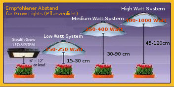 Grow Lamp Abstand, Hanf Licht  Abstand zu den Hanfpflanzen beim Indoor Grow