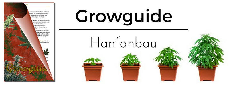 Cannabis Growguide Klassik