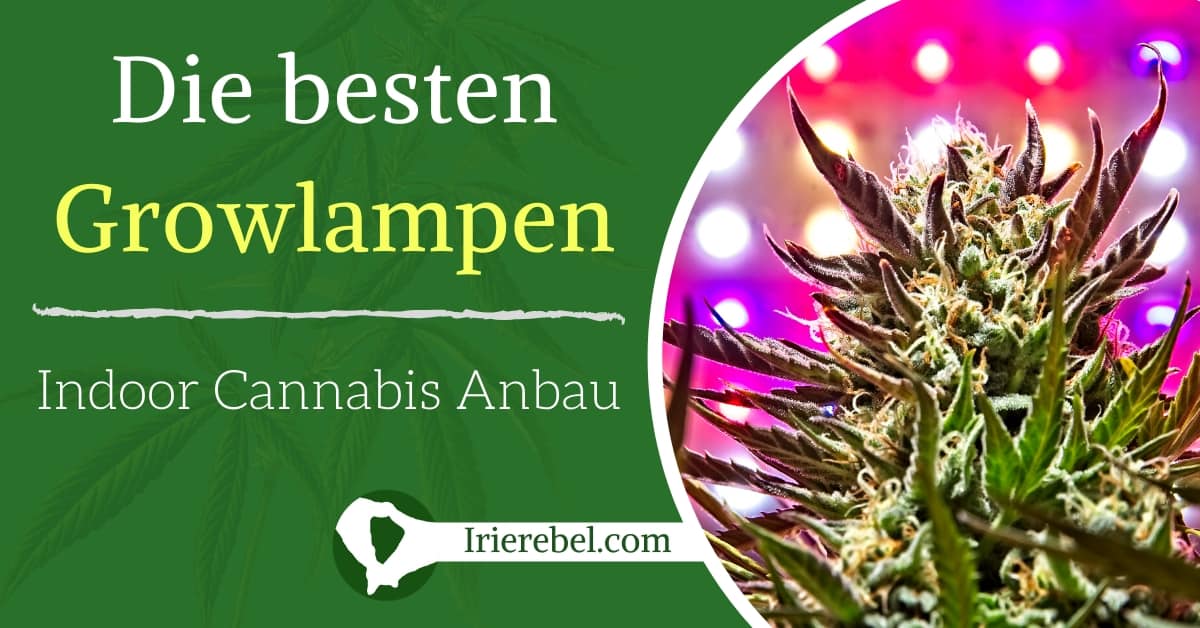 Die besten Grow Lampen für den Indoor Cannabis Anbau ...