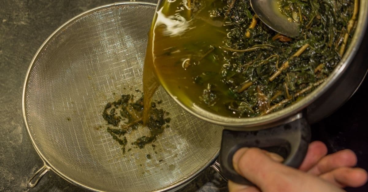 Cannabis Butter herstellen Cannabutter selber machen (Rezepte) Irierebel Der Löwe unter