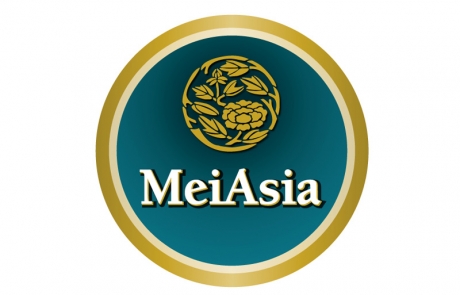 MEI ASIA