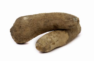 Yam