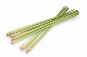 Lemon Grass