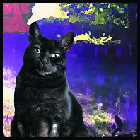 Votre Animal en situation -  A3 / CP