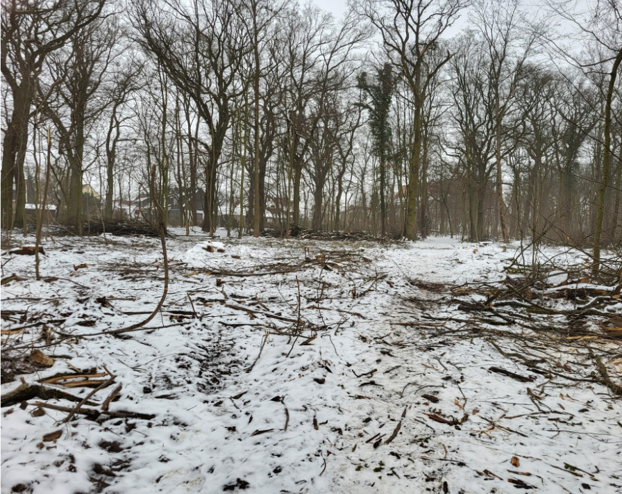 Eingriff in die Natur – NABU klärt auf