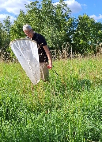 Tobias Münchenberg auf Insektensuche mit seinem Kescher
