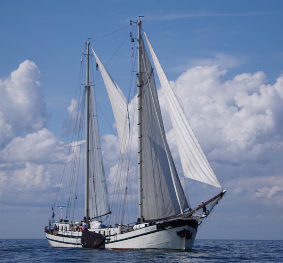 Segelschiff Elegant