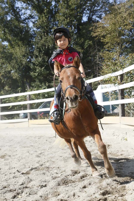 乗馬を楽しむ子供