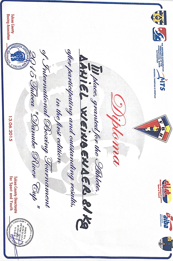 Diplom Boxen 2015