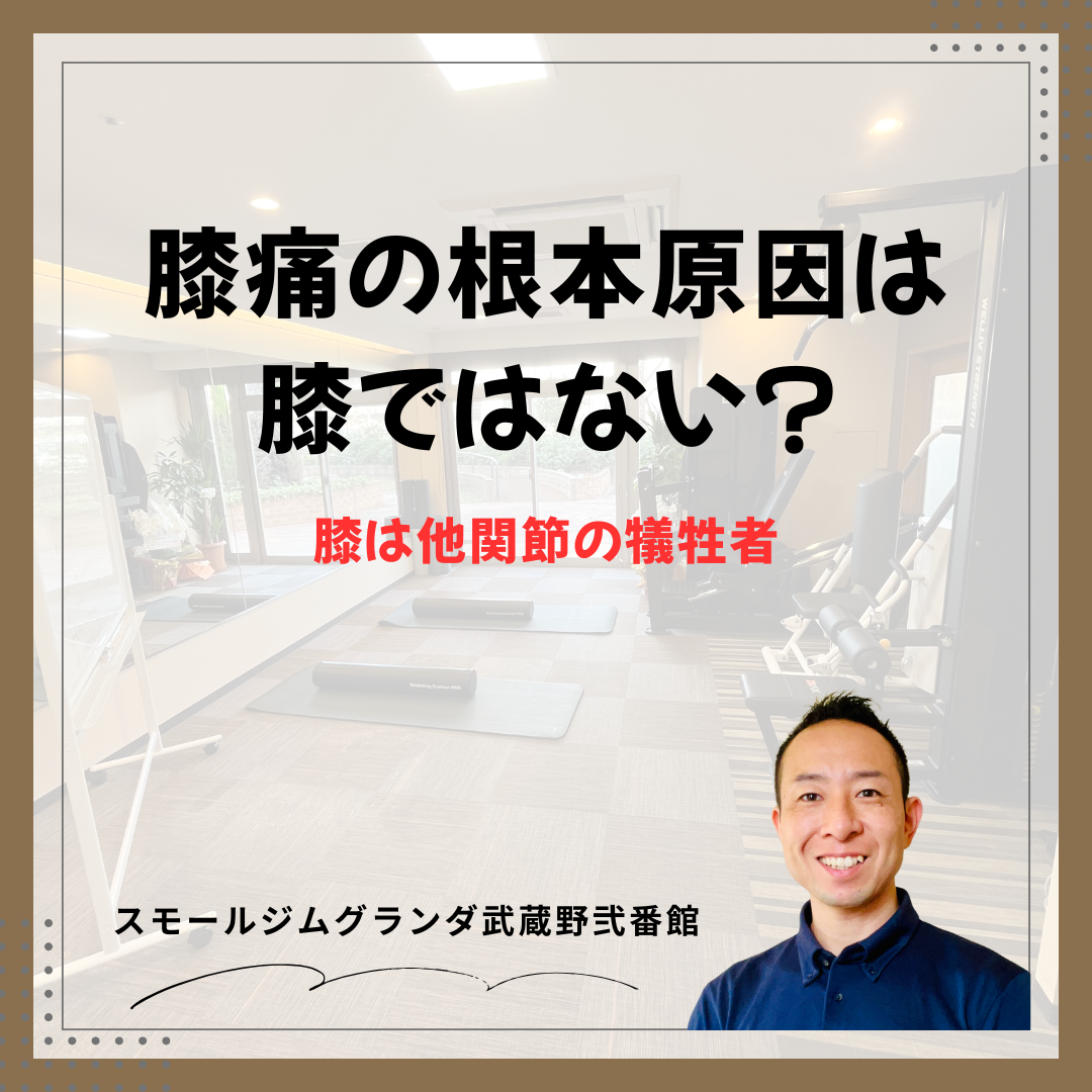 膝の痛みの根本原因は膝ではない？