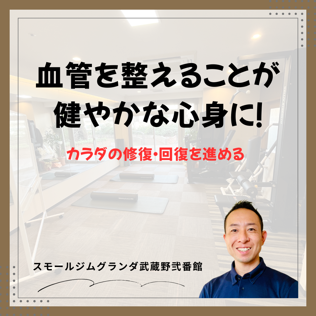 血管を整えることが心身を快適にする