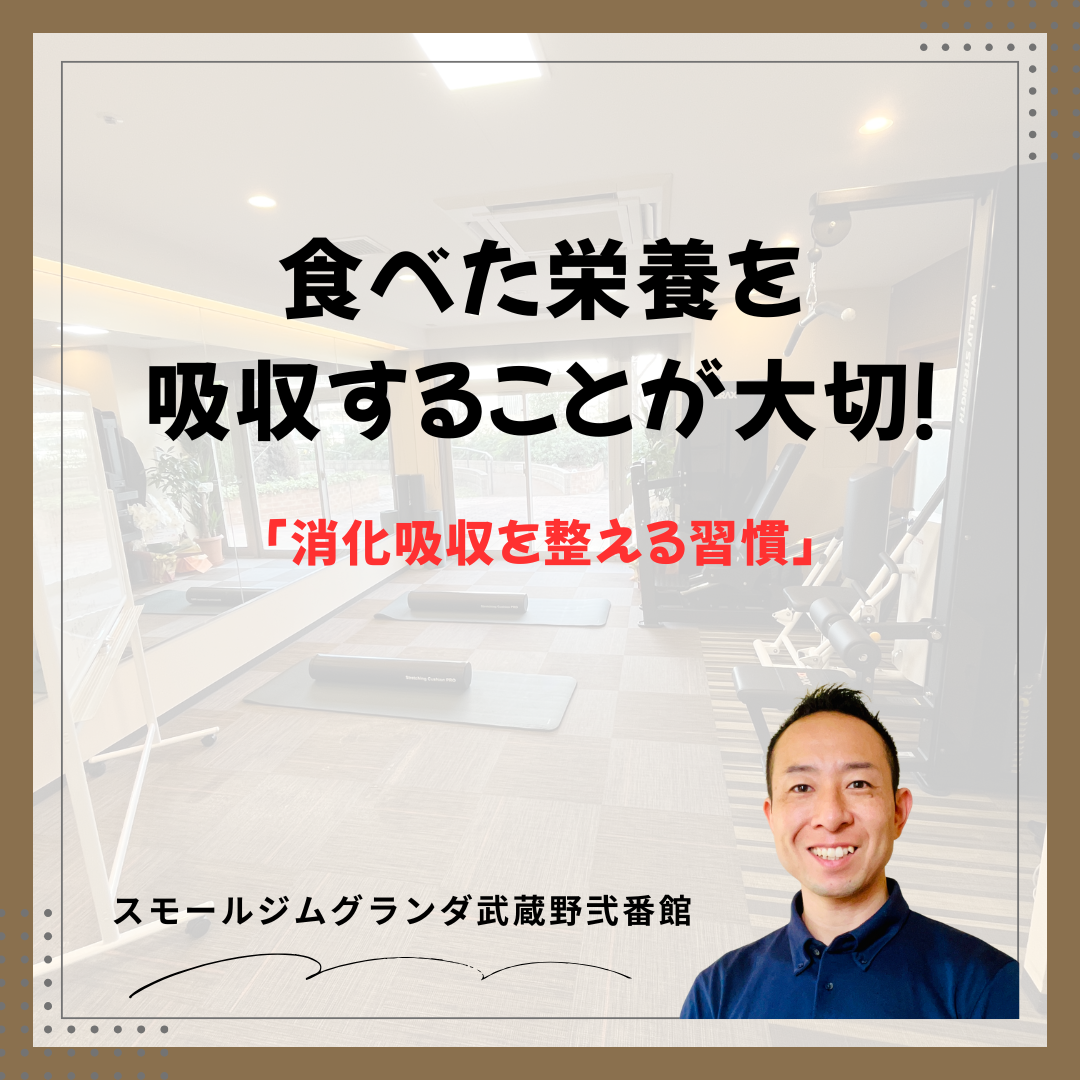 食べた栄養を吸収することが大切！消化吸収を整える習慣