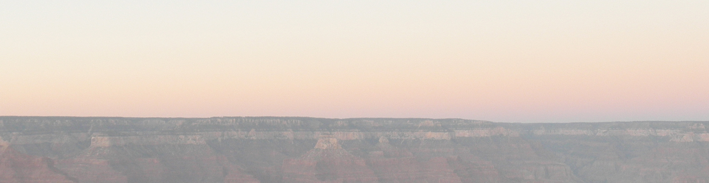 研究業績 - 東京科学大学 細胞動態学分野
