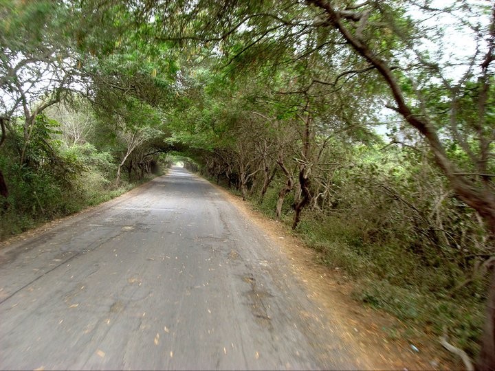 Vía Jipijapa - Puerto López y vía Manta - Puerto López.