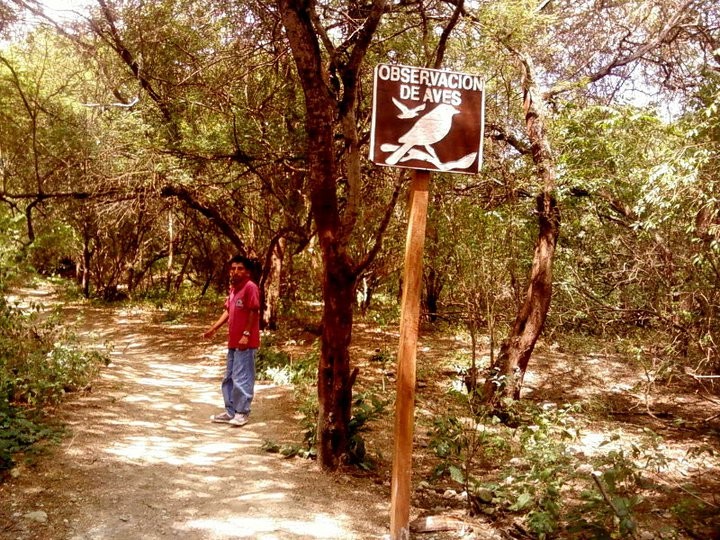 Observatorio de aves en Agua Blanca, Puerto López.