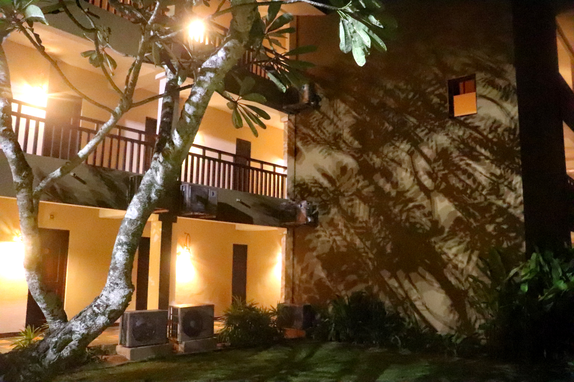 Shadow game of a tree