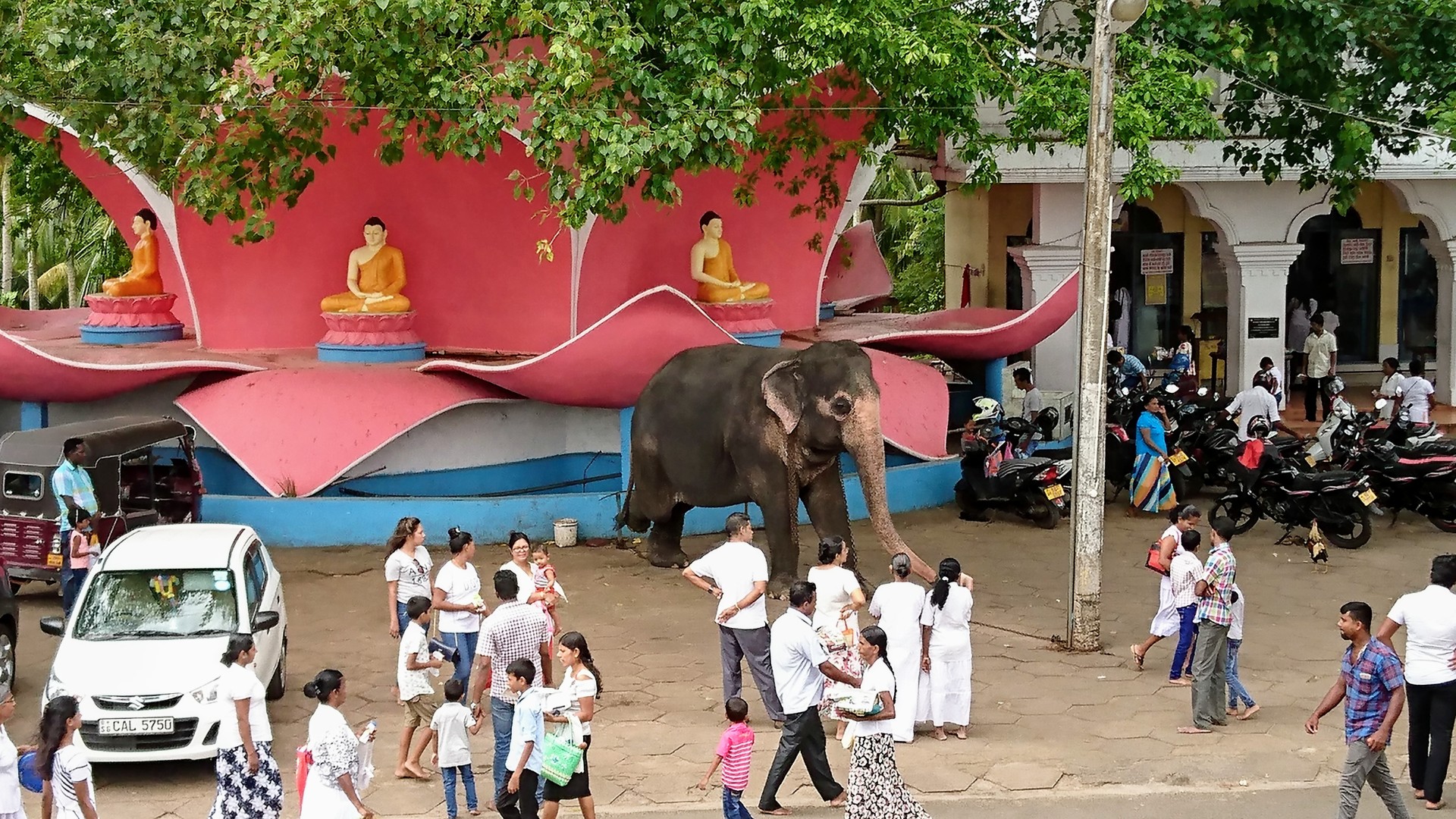 An elephant on a marketplace