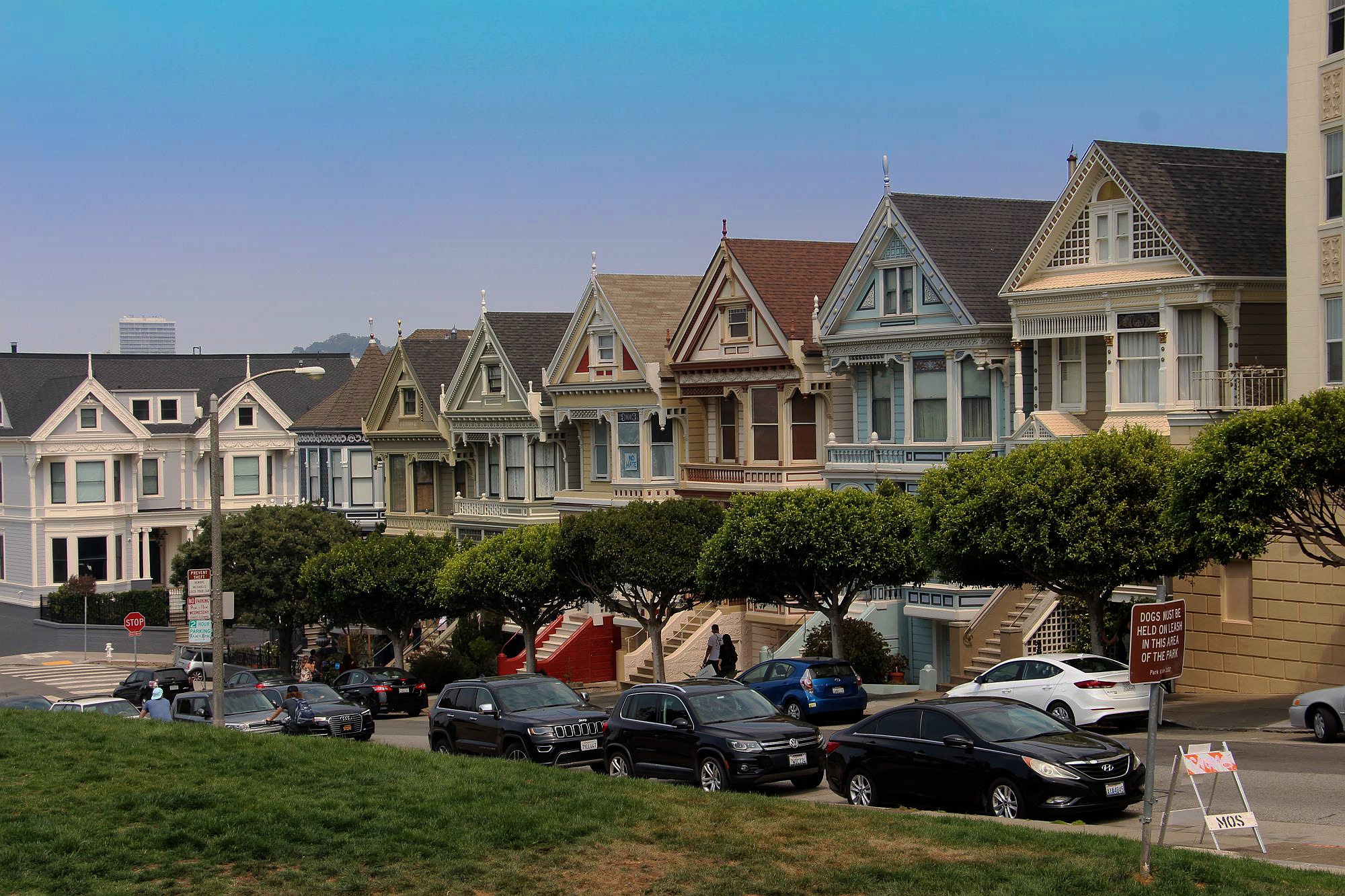 The "Painted Ladies" 