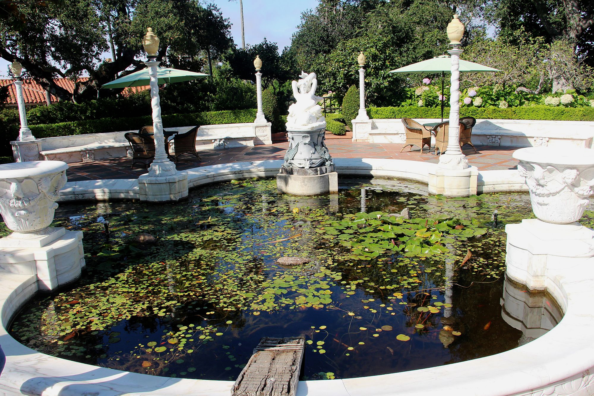 Small pond in the garden