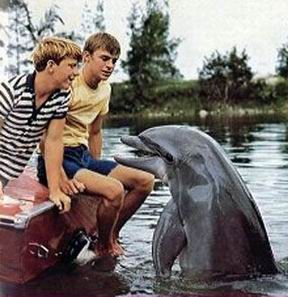 Flipper el Delfin