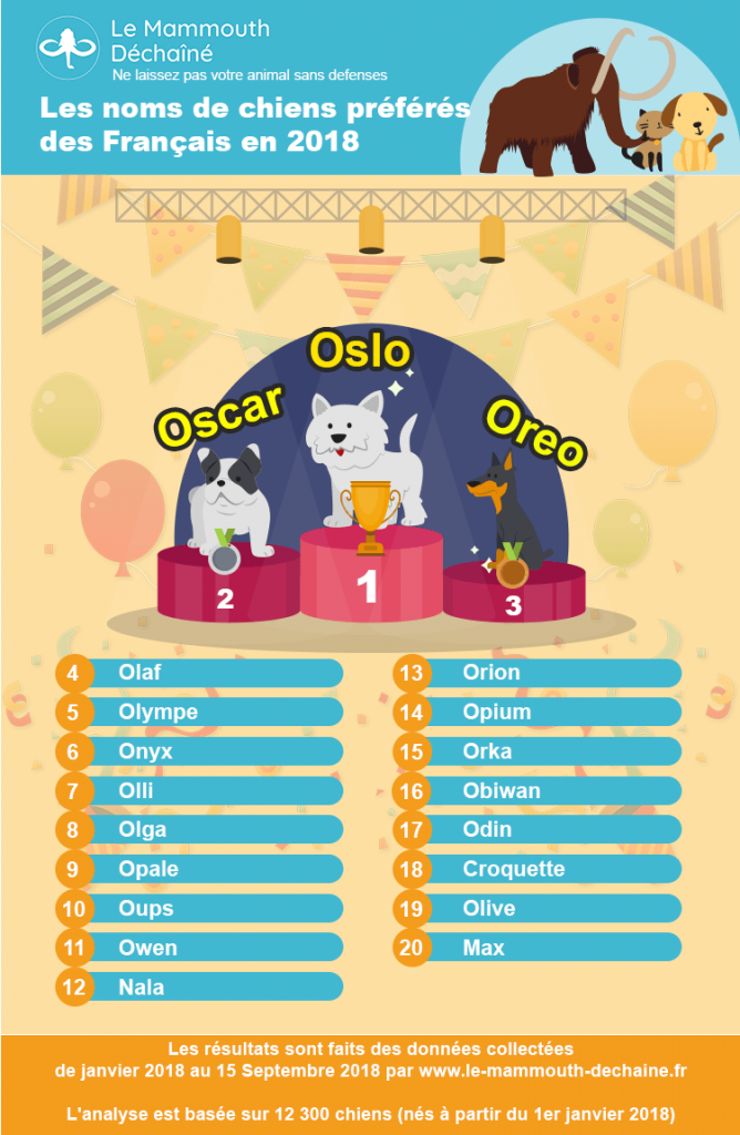 les noms de chiens préférés des Français en 2019