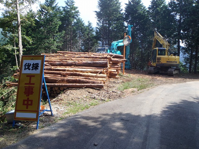 揖斐郡内某所にて作業中!