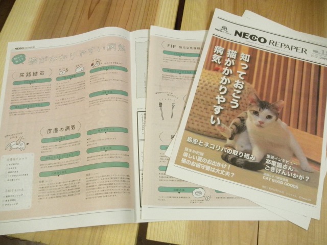 NECO REPAPER No.12 2017 SUMMER